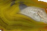 Polished Queensland Agate Nodule - Australia #323016-1